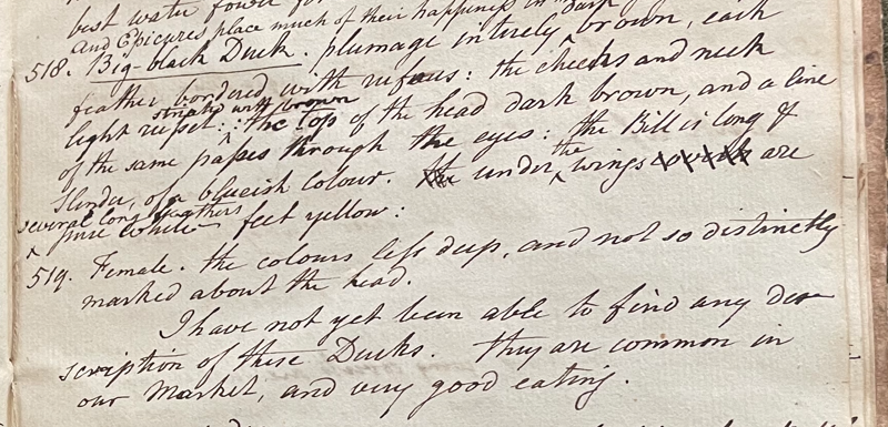 Charles Willson Peale, Lecture on Natural History 22