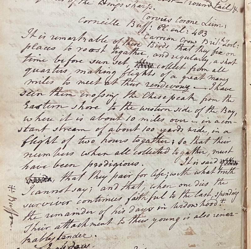 Lecture on Natural History 17