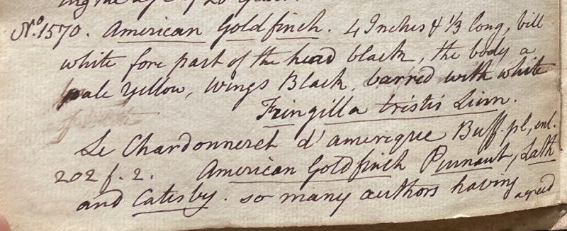 Lecture on Natural History 34