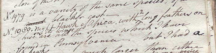 Lecture on Natural History 39