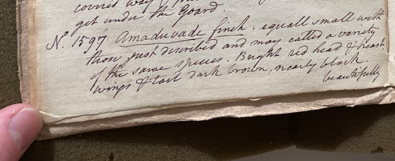 Lecture on Natural History 34