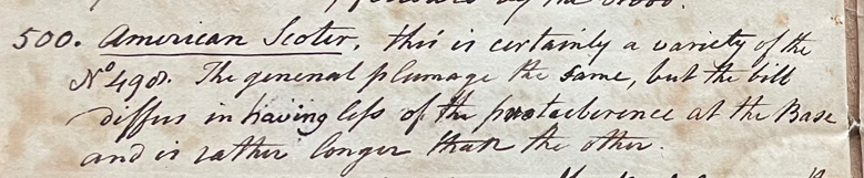 Lecture on Natural History 21