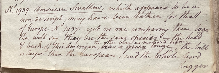 Lecture on Natural History 38