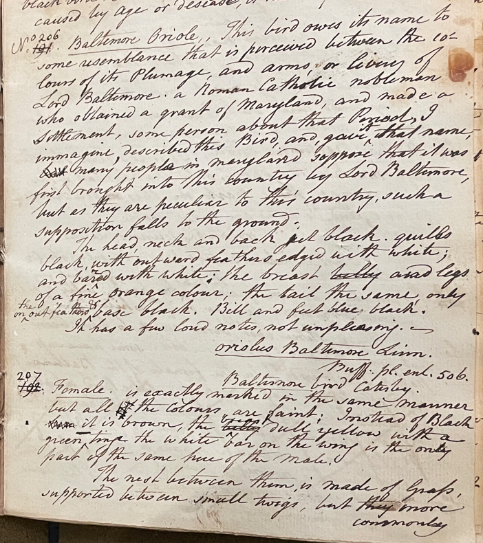 Lecture on Natural History 17