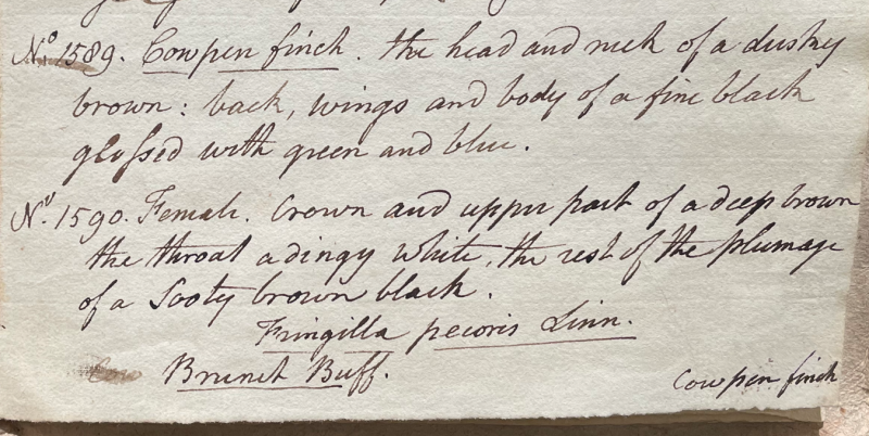 Lecture on Natural History 34