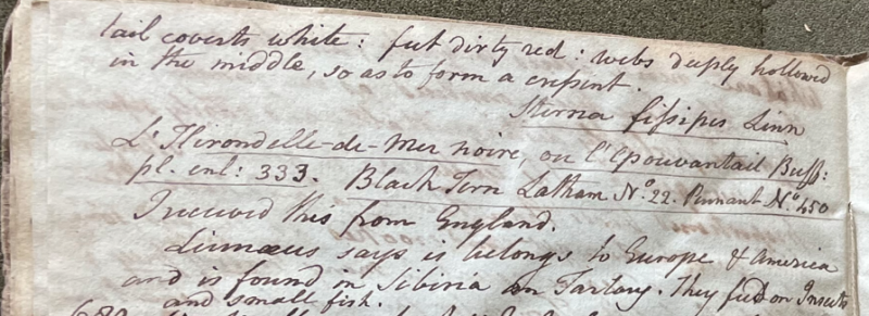 Lecture on Natural History 24