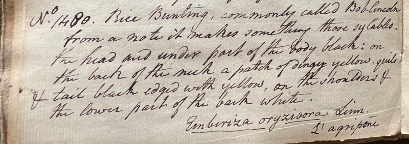 Lecture on Natural History 33