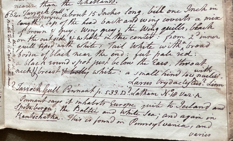 Lecture on Natural History 24