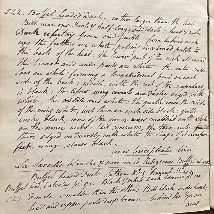 Lecture on Natural History 22