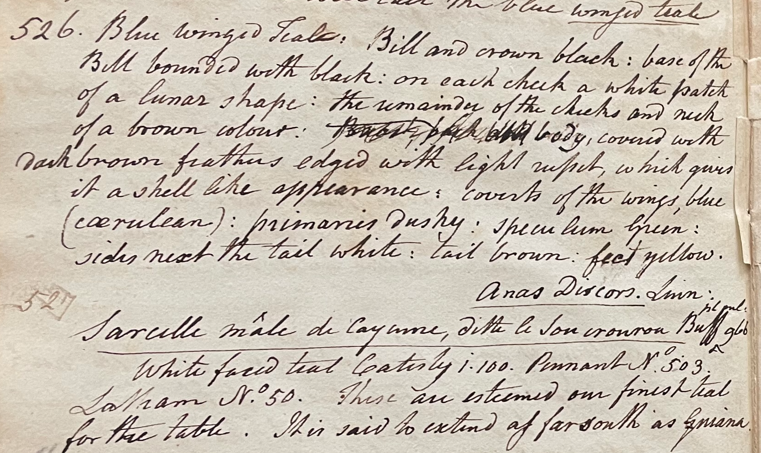 Lecture on Natural History 22