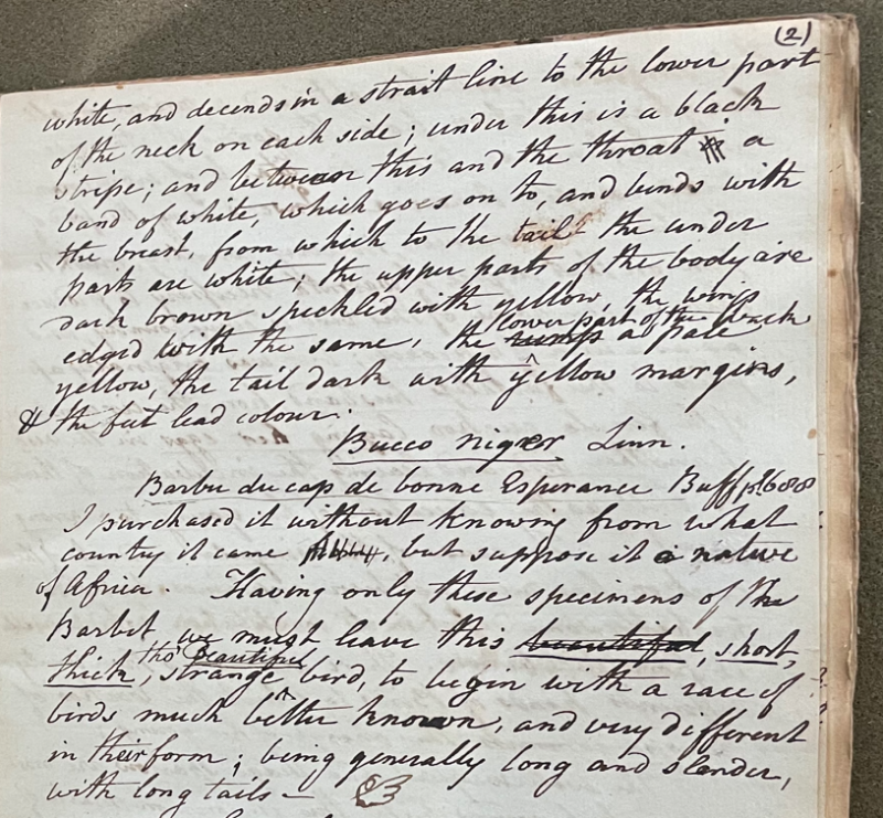 Lecture on Natural History 18