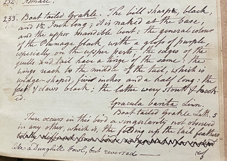 Lecture on Natural History 17