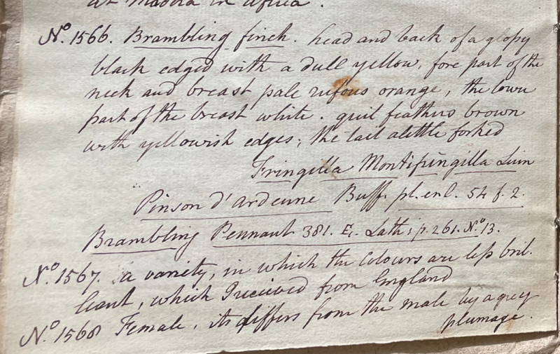 Lecture on Natural History 34