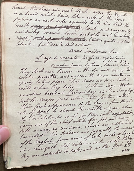 Lecture on Natural History 21