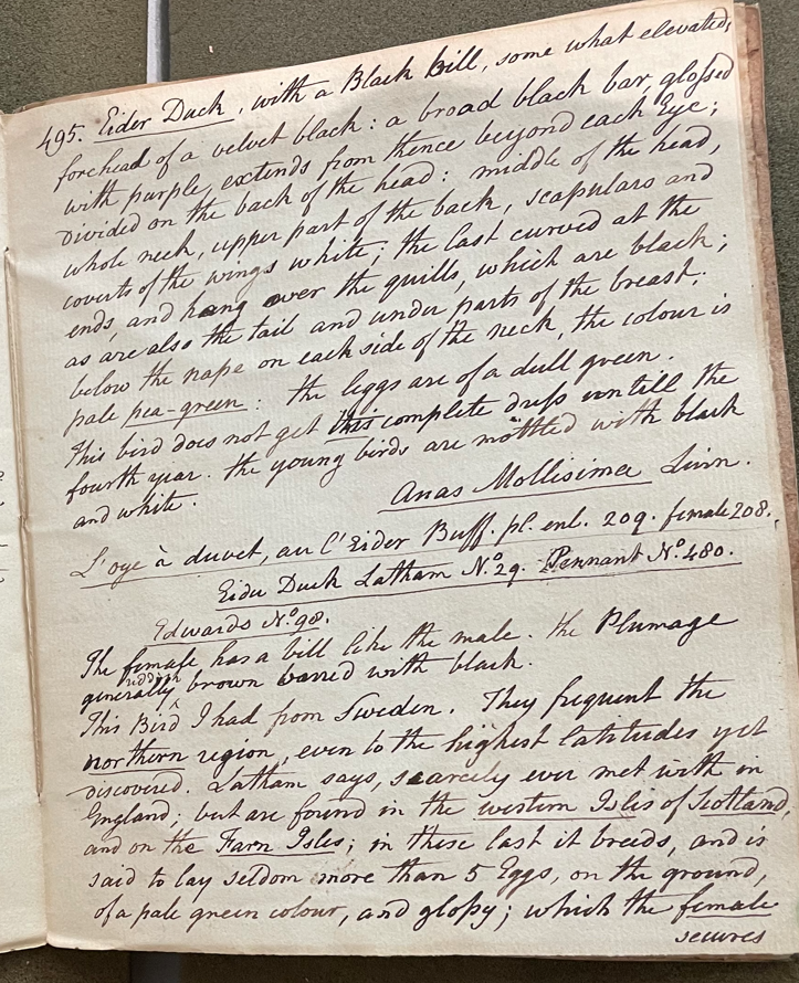 Lecture on Natural History 21