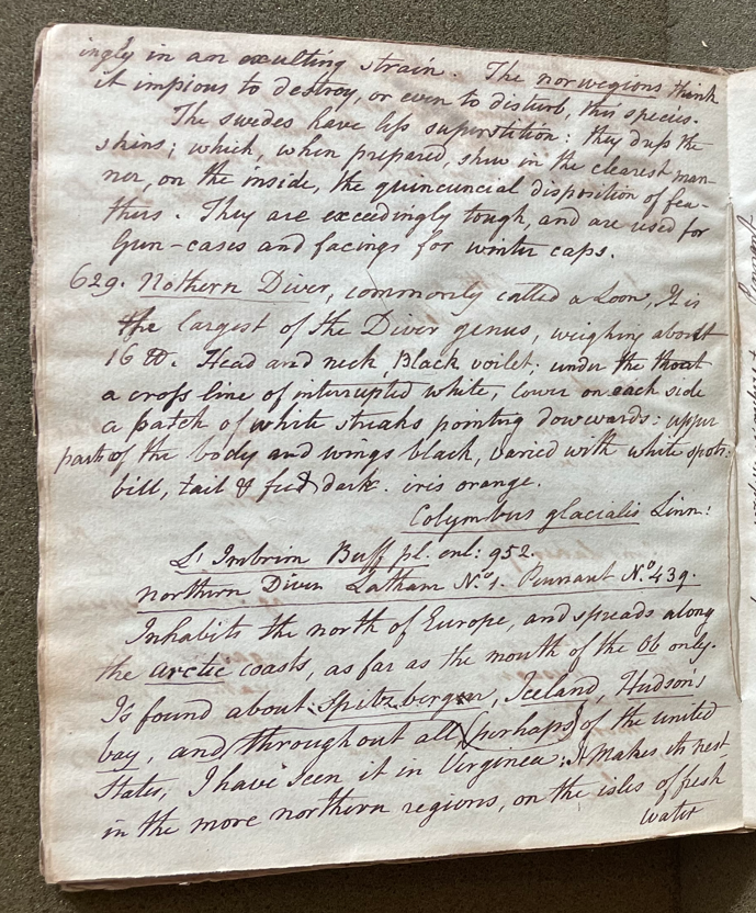 Lecture on Natural History 24