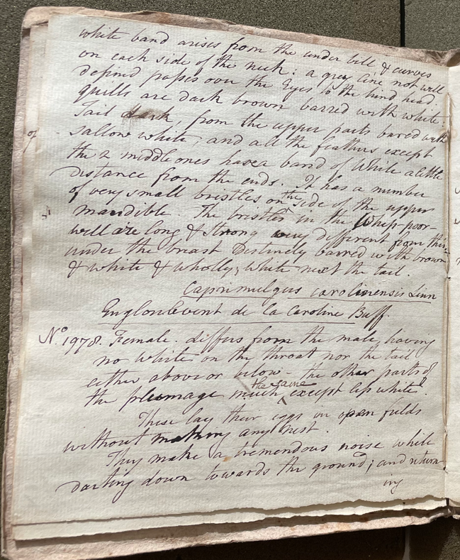 Lecture on Natural History 39