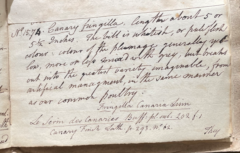 Lecture on Natural History 34