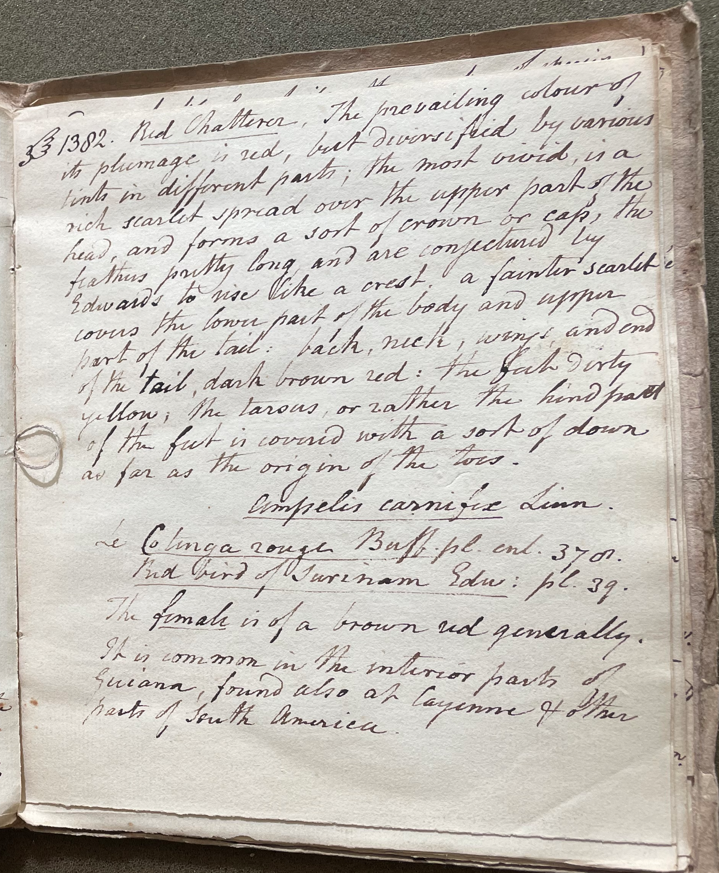 Lecture on Natural History 32