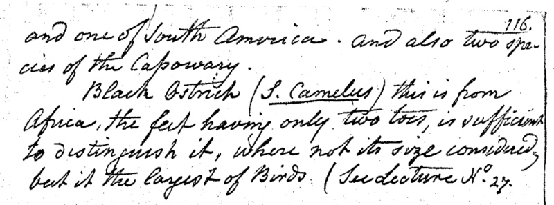 "A Walk through the Philad[elphi]a Museum" 