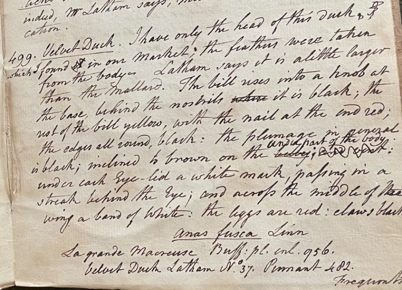 Lecture on Natural History 21