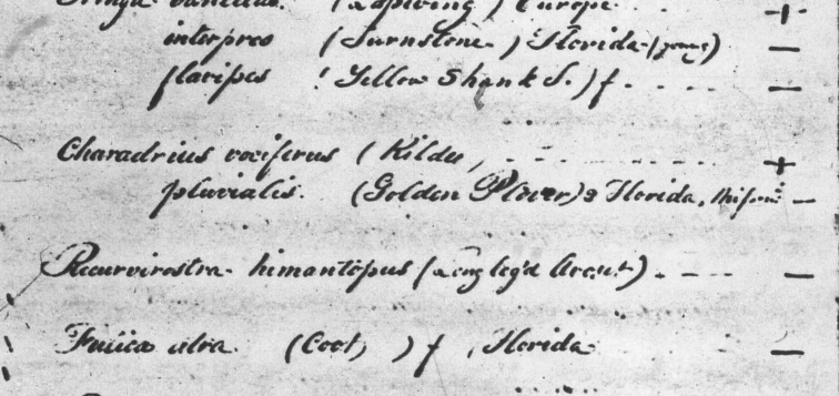 A Catalogue of Duplicate Specimens