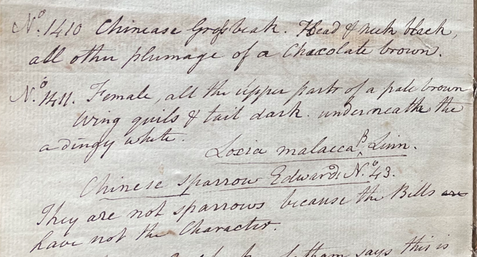 Lecture on Natural History 32