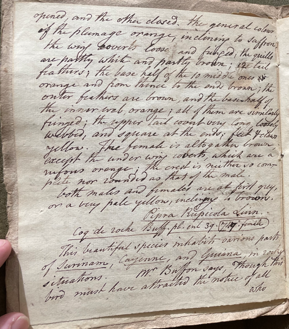 Lecture on Natural History 37.