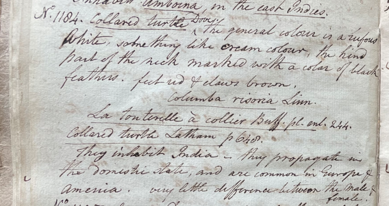 Lecture on Natural History 30