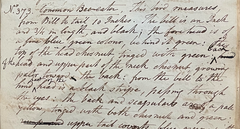 Lecture on Natural History 19