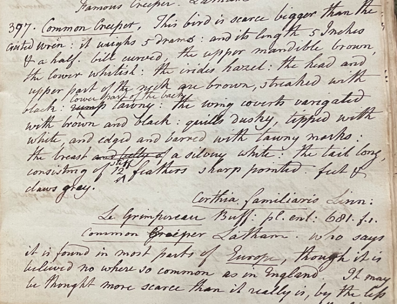 Lecture on Natural History 20