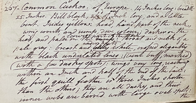 Lecture on Natural History 18