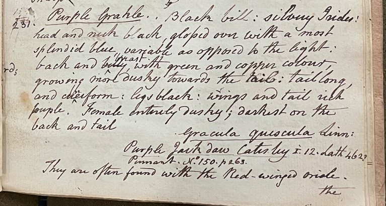 Lecture on Natural History 17