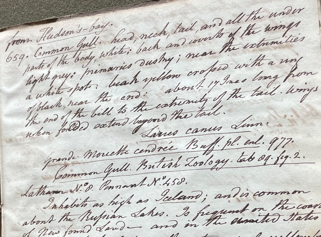 Lecture on Natural History 24