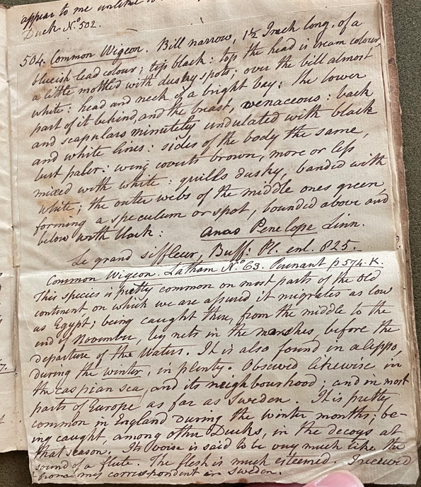 Lecture on Natural History 22