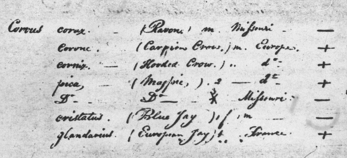 A Catalogue of Duplicate Specimens