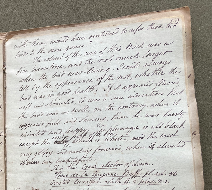 Lecture on Natural History 28