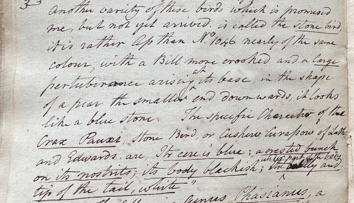 Lecture on Natural History 28