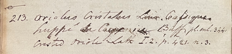 Lecture on Natural History 17