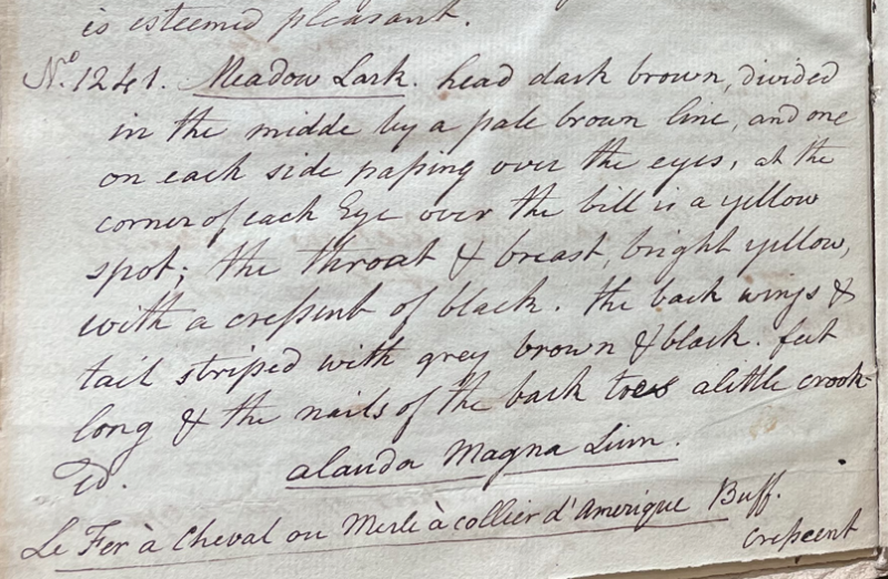 Lecture on Natural History 31