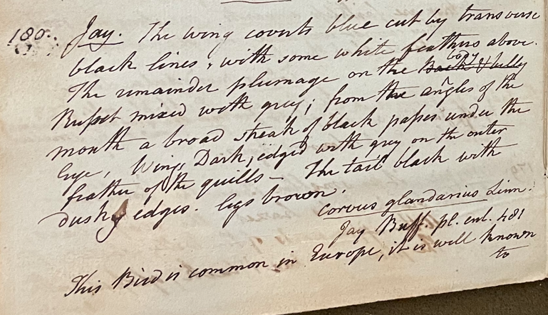 Lecture on Natural History 17