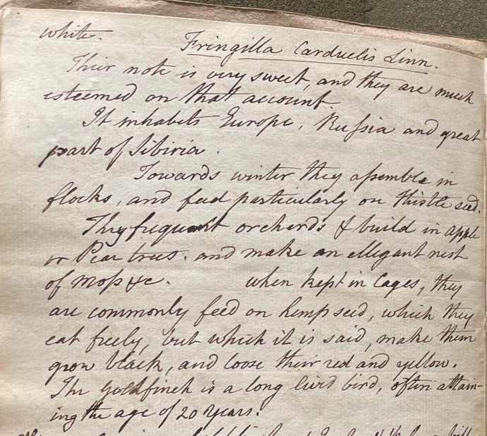 Lecture on Natural History 34