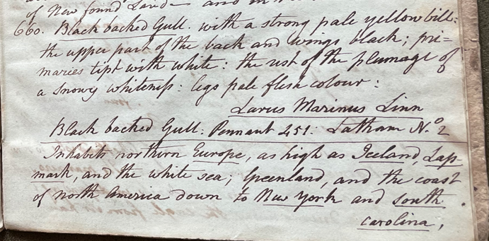 Lecture on Natural History 24