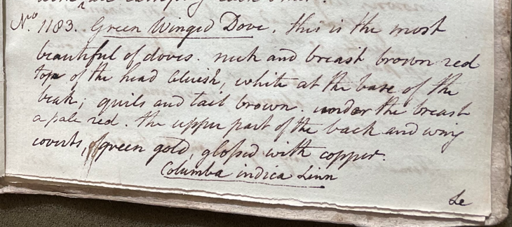 Lecture on Natural History 30