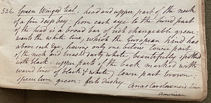 Charles Willson Peale, Lecture on Natural History 22