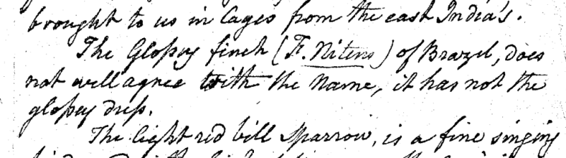 "A Walk through the Philad[elphi]a Museum"