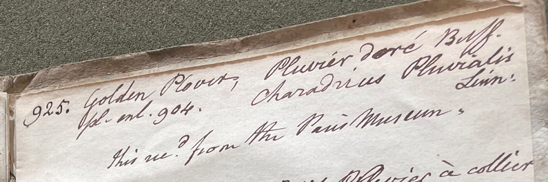 Lecture on Natural History 2