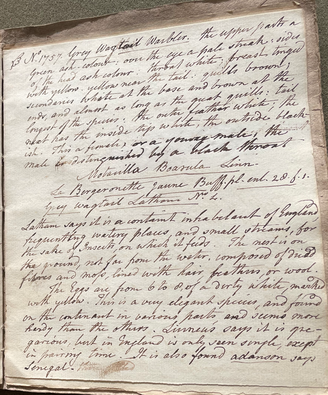 Lecture on Natural History 35