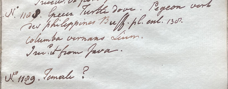 Lecture on Natural History 30