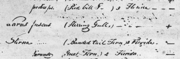 A Catalogue of Duplicate Specimens